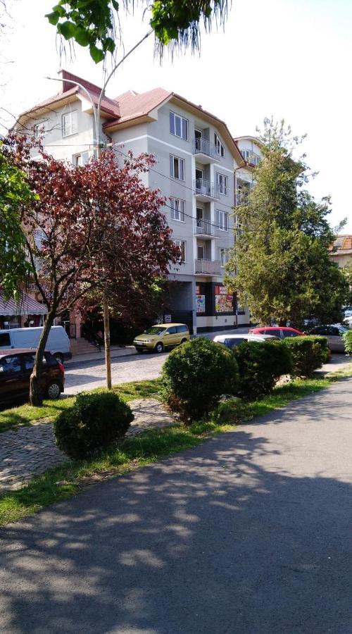 Apartments Domovik Просторная Квартира С Видом На Горы Mukaczewo Zewnętrze zdjęcie