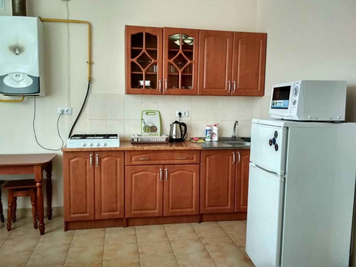Apartments Domovik Просторная Квартира С Видом На Горы Mukaczewo Zewnętrze zdjęcie